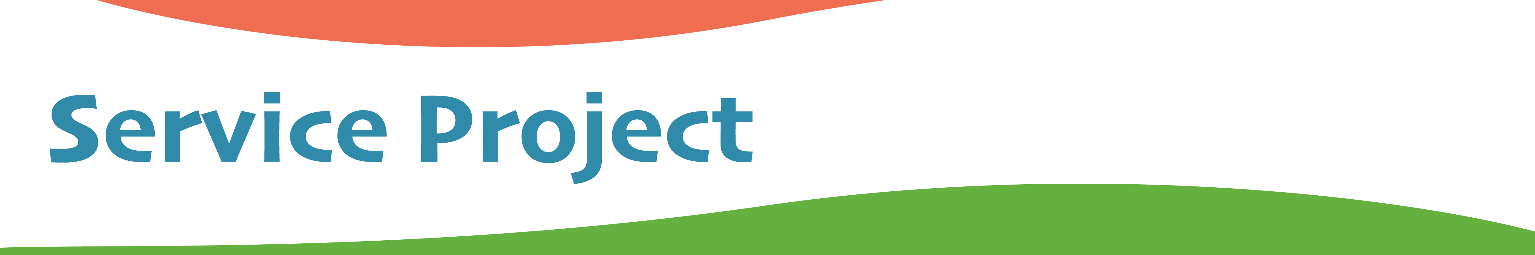 service project